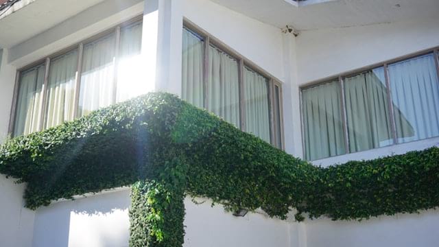 Roller and Shades in Kuwait